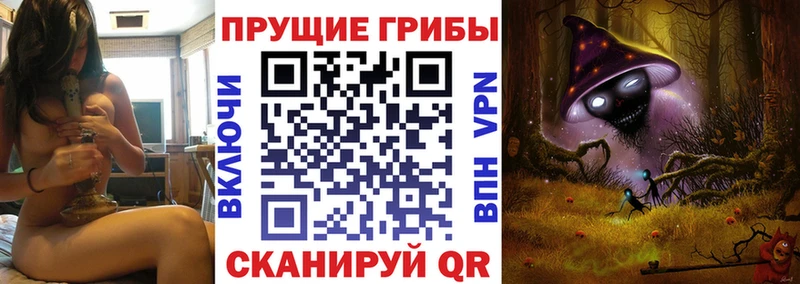 Галлюциногенные грибы Psilocybine cubensis  Куса 